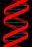 synthetic-dna.gif