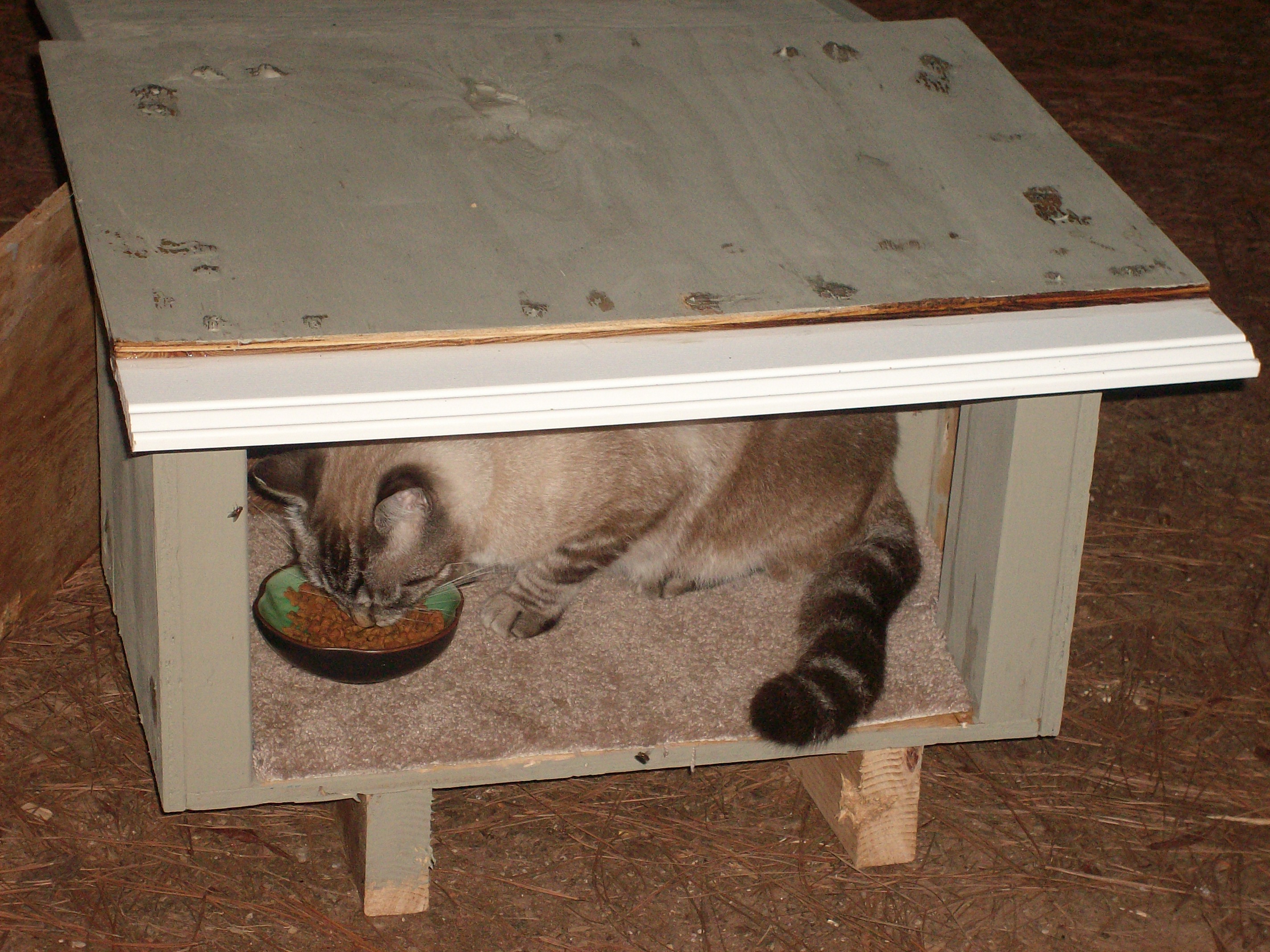 Stray Cat House from Reused Wood and Mess