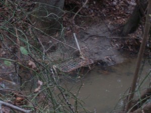 Chair in Creek