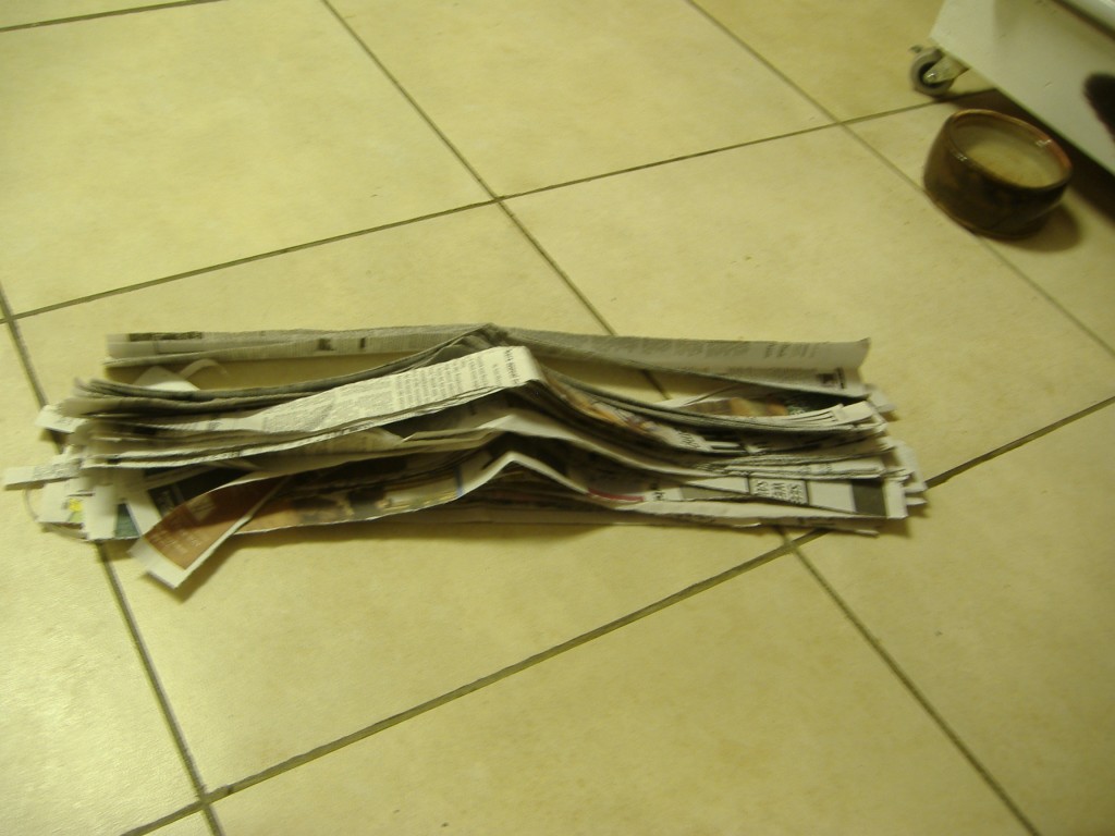 Green Thinking for the Average Joe » Blog Archive Homemade Cat Litter from Reused Newspaper