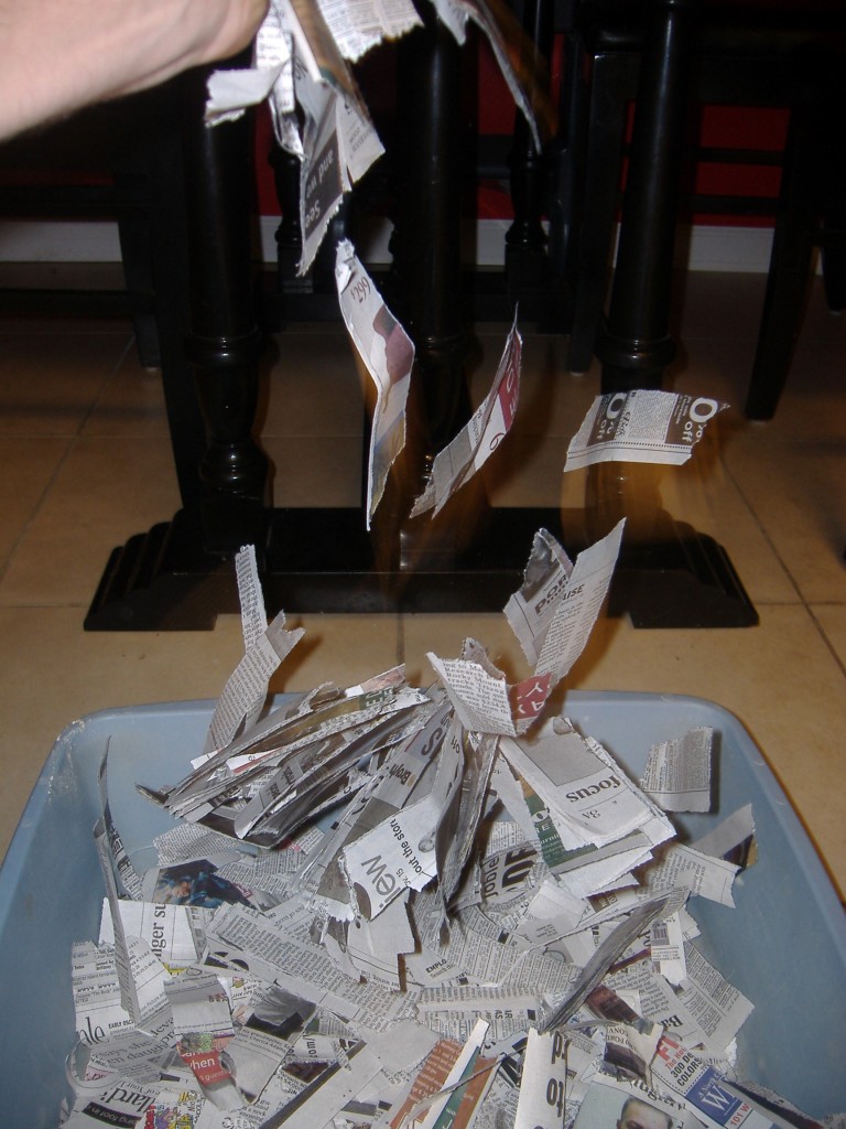 Green Thinking for the Average Joe » Blog Archive Homemade Cat Litter