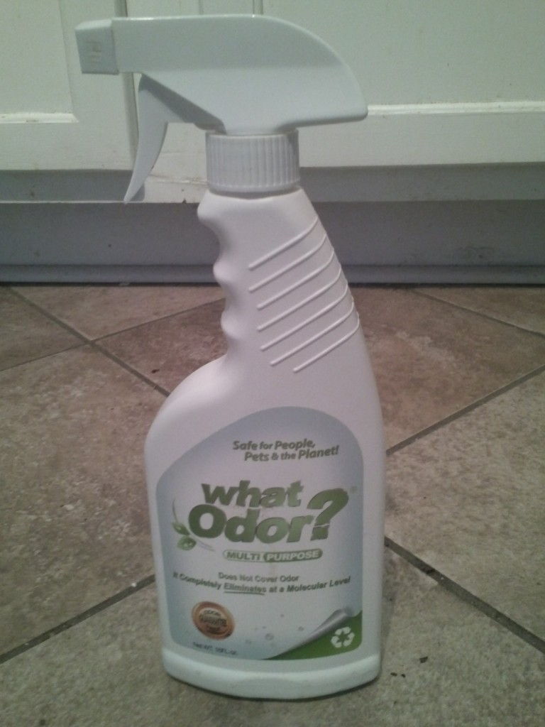 What Odor? Spray bottle